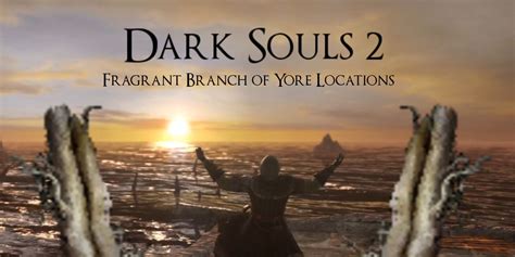 The DS2 Branch of Yore: Uncovering its Potential for the Modern Era