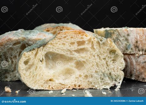 The Dangers of Moldy Bread