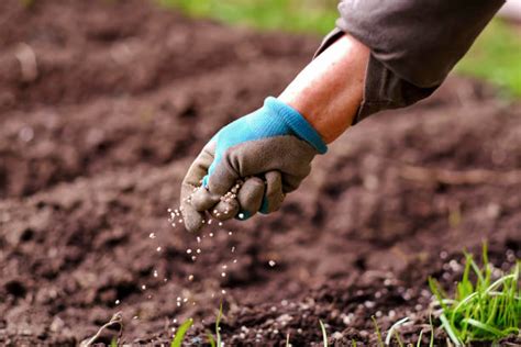 The Dangers of Overfertilizing