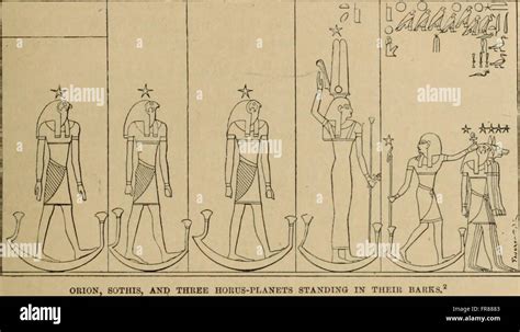 The Dawn of Civilization: Tracing the Origins of Societal Structure