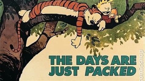 The Days Are Just Packed Calvin and Hobbes Series Book Twelve Calvin and Hobbes by Bill Watterson 28-Oct-1993 Paperback Reader
