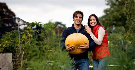 The Decisive Pumpkin: A Guide to Cultivating Success and Overcoming Challenges