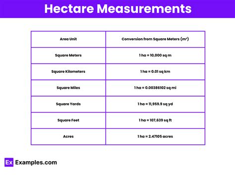 The Definition of Hektar and Meter