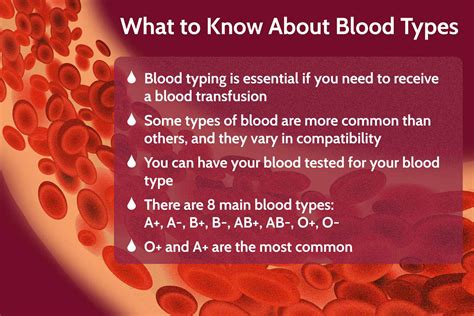 The Definitive Guide to Blood Types in Singapore: Understanding Your Unique Blood Profile