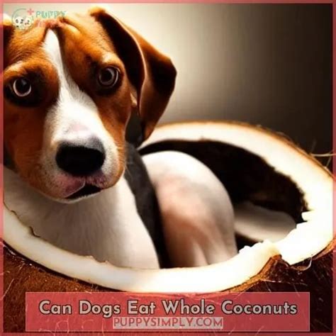 The Definitive Guide to Can Dogs Eat Coconuts: Safety, Benefits, and More