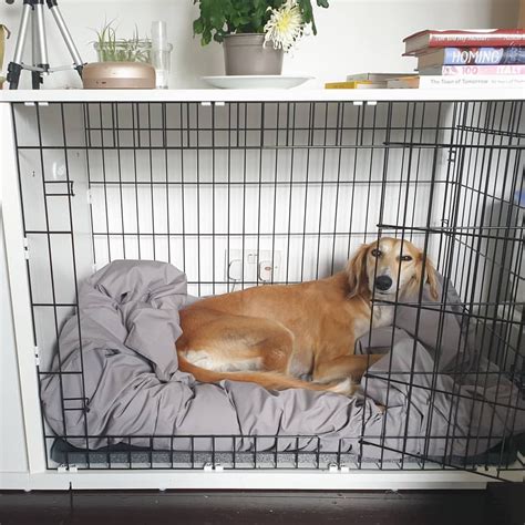 The Definitive Guide to Choosing the Best Dog Crate: A Comprehensive Analysis for Dog Owners