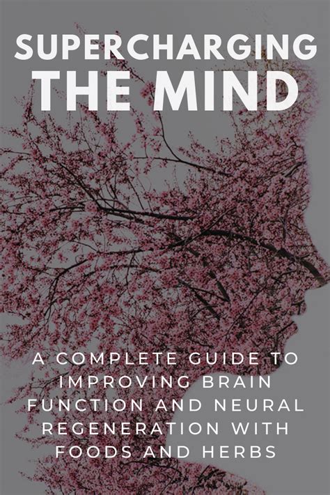 The Definitive Guide to Supercharging Your Brain with Self-Study