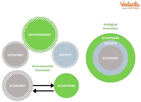 The Delta's Economic and Ecological Importance