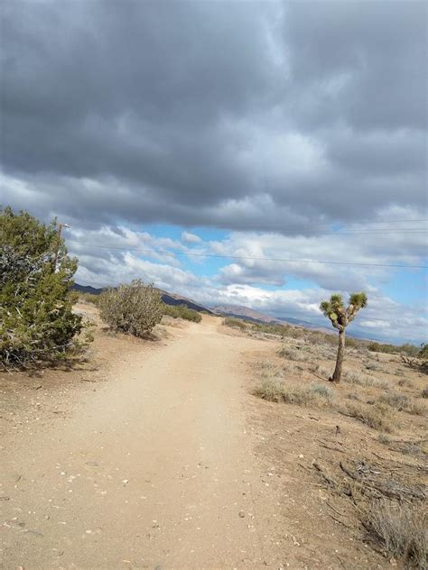 The Desert Pathway Doc