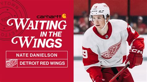 The Detroit Red Wings: A Legendary Franchise with an Unwavering Spirit