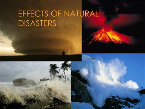 The Devastating Impact of Natural Disasters