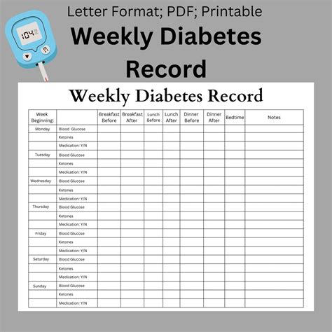 The Diabetic Diary 2002 PDF