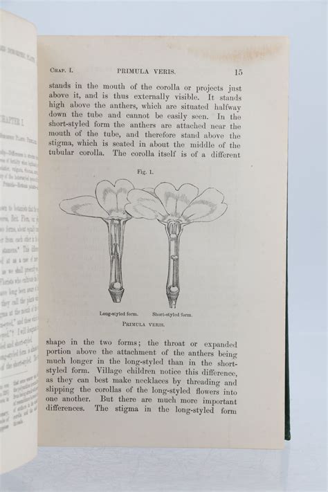 The Different Forms of Flowers on Plants of the Same Species Primary Source Edition