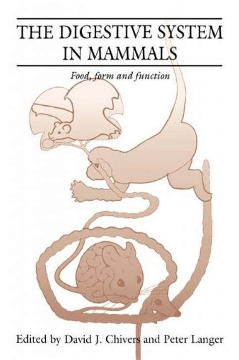 The Digestive System in Mammals Food Form and Function PDF