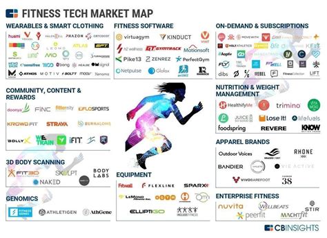 The Digital Fitness Landscape in Numbers