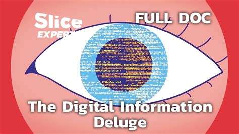 The Digital Information Deluge