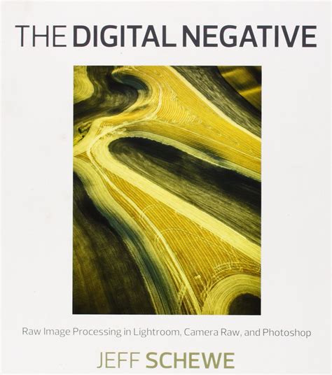 The Digital Negative Raw Image Processing in Lightroom Camera Raw and Photoshop 2nd Edition Reader