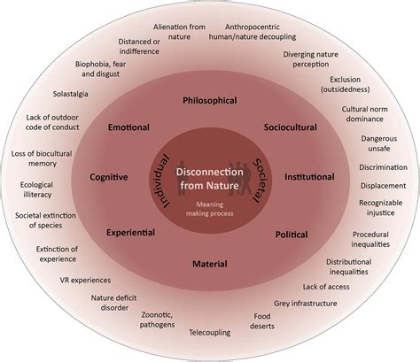 The Disconnect from Nature: A Growing Concern
