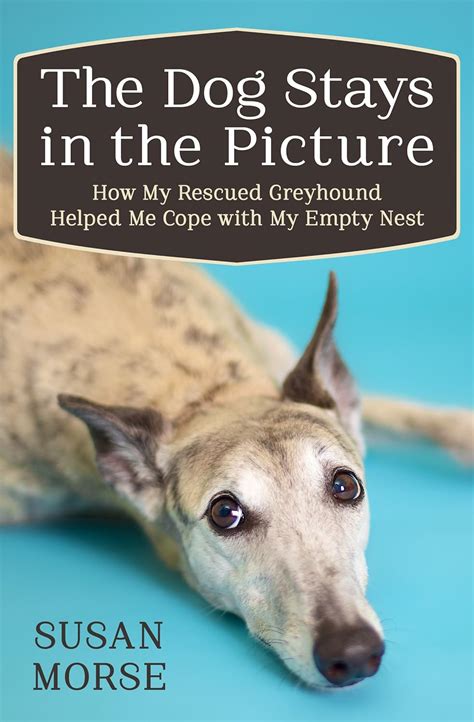 The Dog Stays in the Picture How My Rescued Greyhound Helped Me Cope with My Empty Nest Epub