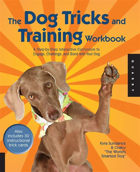 The Dog Tricks and Training Workbook A Step-by-Step Interactive Curriculum to Engage Challenge and Bond with Your Dog Kindle Editon