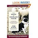 The Dogs of Bedlam Farm: An Adventure with Sixteen Sheep, Three Dogs, Two Donkeys, and Me Epub