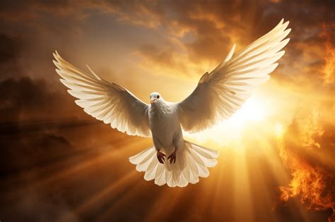 The Dove's Symbolic Significance