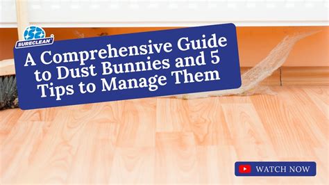 The Dusti Bunni: A Comprehensive Guide to Understanding and Managing Dust