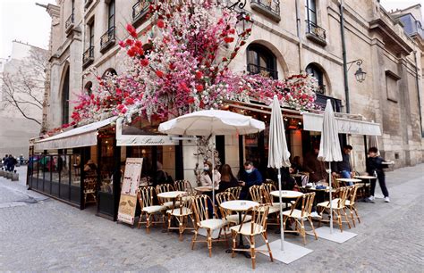 The Eclectic Appeal of Café Beauty: A Comprehensive Guide to the World's Most Popular Coffee Houses