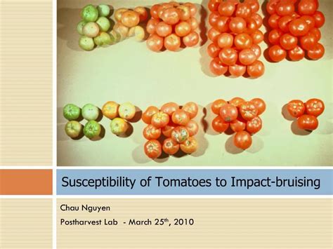 The Economic Impact of Tomato Bruising