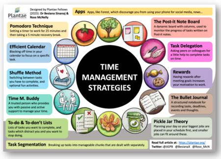 The Economics of Social Issues Management Strategies and Techniques Kindle Editon