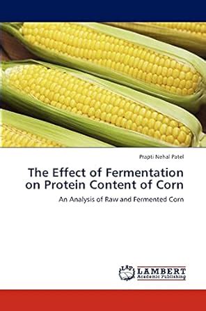 The Effect of Fermentation on Protein Content of Corn An Analysis of Raw and Fermented Corn PDF