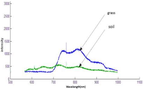 The Electric Grass Spectrum: A Diverse Range