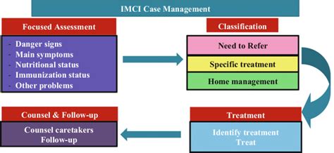 The Elements of Case Management Doc