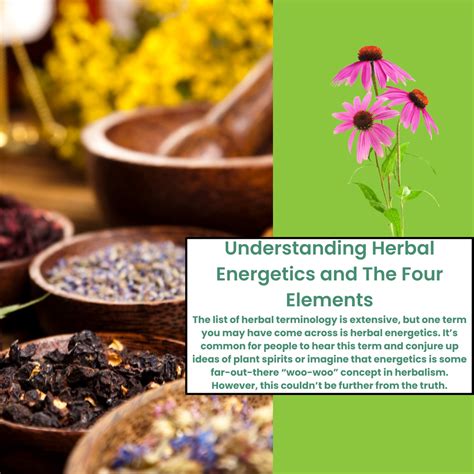 The Elements of Herbalism PDF