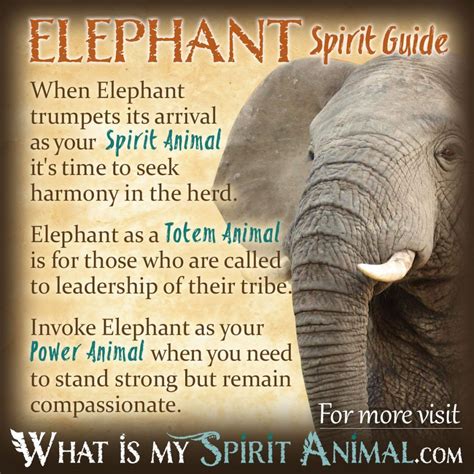 The Elephant in Spirituality: Symbolism, Meaning, and Significance