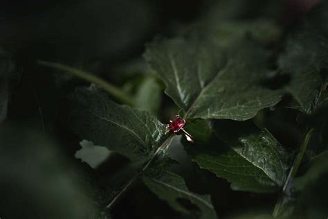 The Enchanted World of Glow-in-the-Dark Gemstones