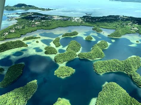 The Enchanting Allure of Palau: A Journey into a Marine Paradise