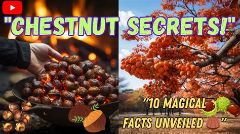 The Enchanting Appeal of Chestnut