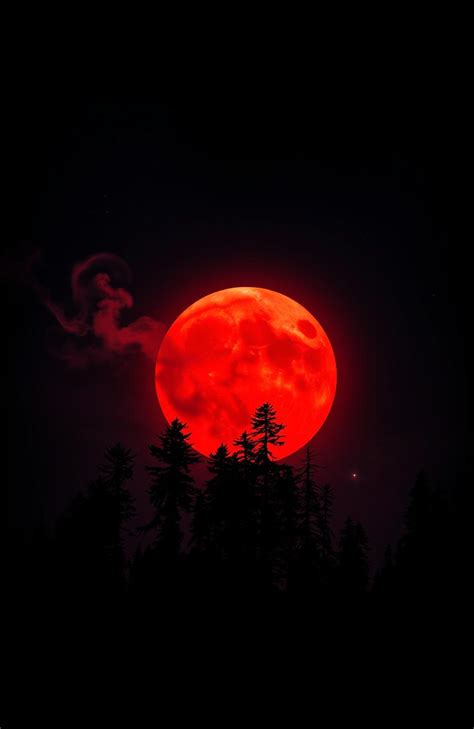 The Enchanting Enigmatic Blood Moon Ball: A Cosmic Celebration