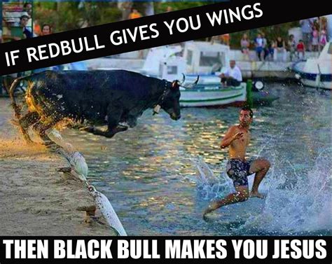 The Enchanting History of Bulls Memes