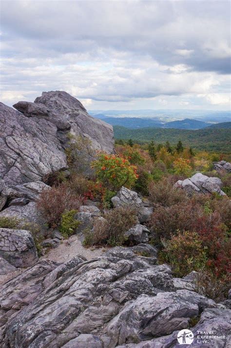 The Enchanting Landscapes of Grayson Ridge