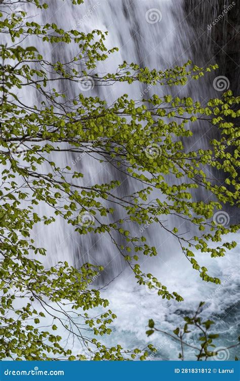 The Enchanting Power of Cascading Waters