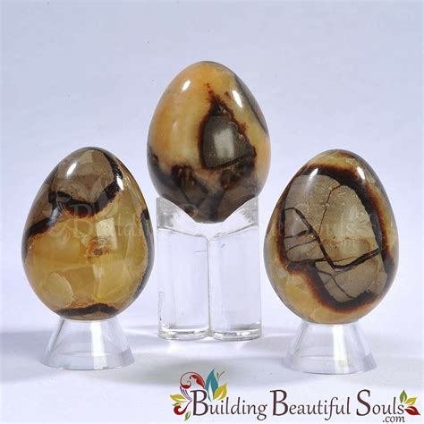 The Enchanting Septarian Egg: A Healing Stone with Enduring Power