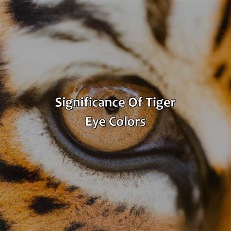 The Enchanting Spectrum of Tiger's Eye Colors