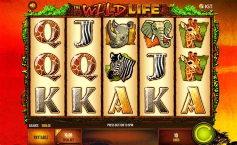 The Enchanting World of Animal-Themed Slots: A Journey into the Wild