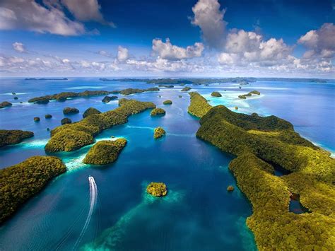 The Enchantment of Palau's Marine Paradise