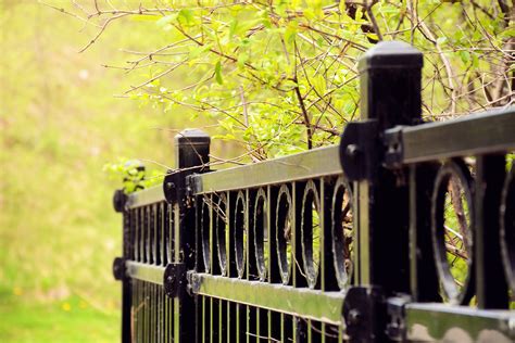 The Enduring Appeal of Iron Garden Fences