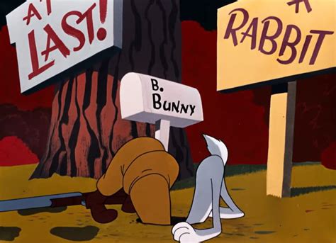 The Enduring Appeal of Looney Tunes