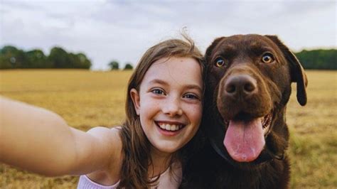 The Enduring Bond: Exploring the Profound Connection between Children and Their Stuffy Bunnies