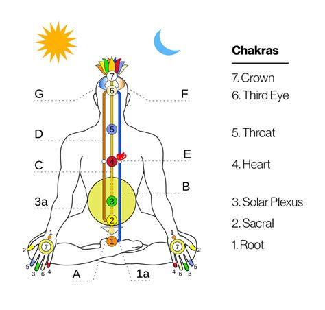 The Energetic Centers of the Feet